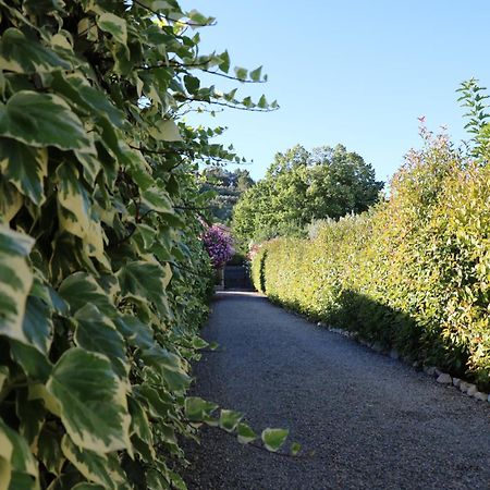La Villa Des Moulins Calvisson Eksteriør billede
